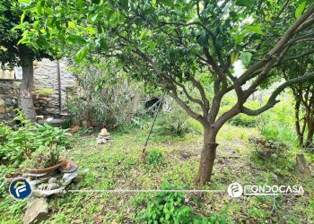 Foto 33 - Rustico Vico dei Ramasso, Alassio - foto 33