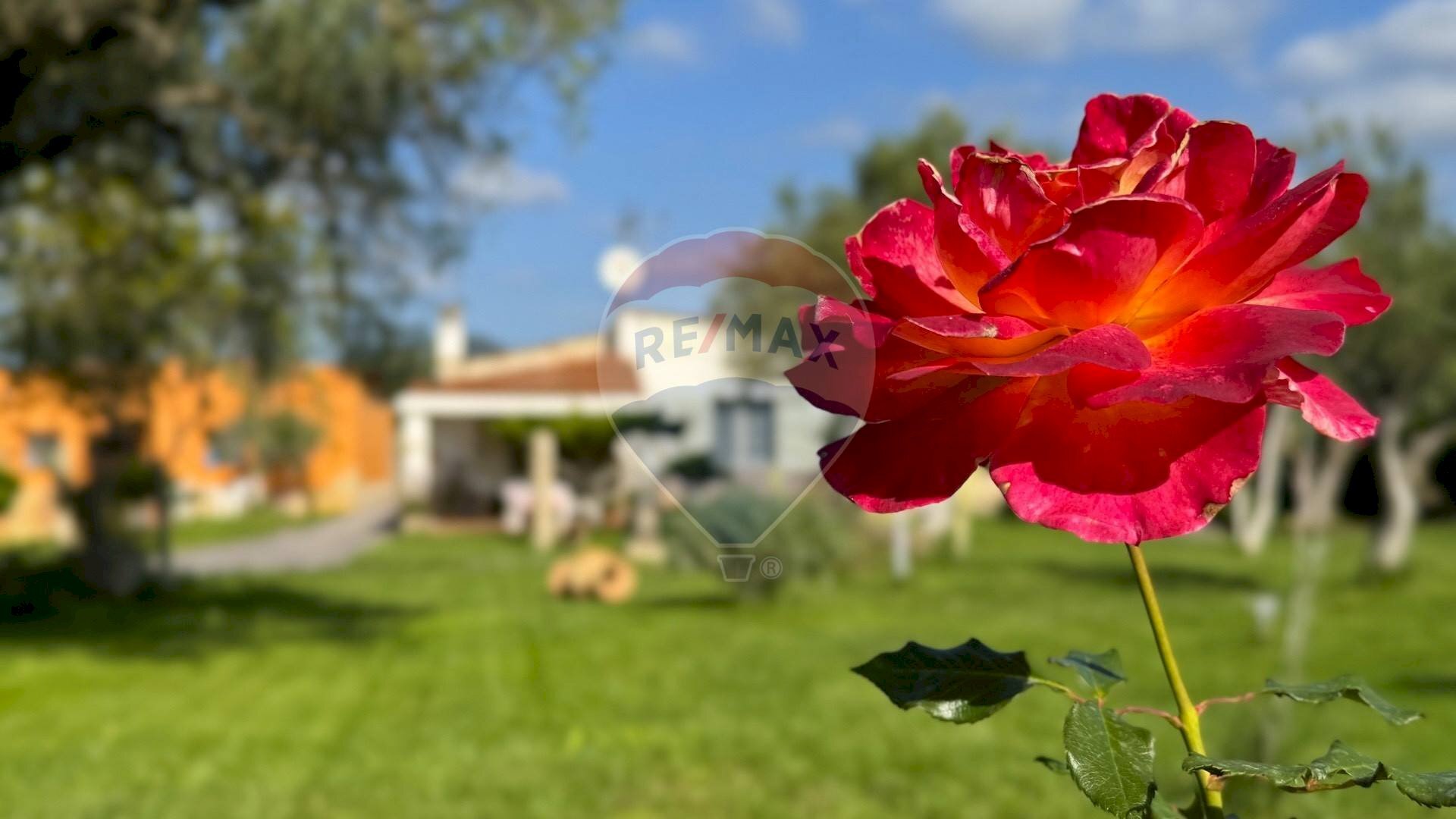 Dettagli - Casa indipendente Strada Comunale De Is Montis, Dolianova - foto 2