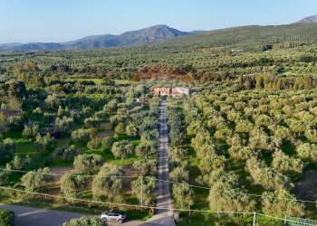 Vista delle montagne - Casa indipendente Strada Comunale De Is Montis, Dolianova - foto 28