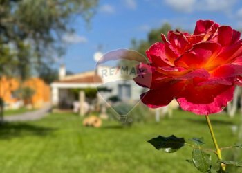 Dettagli - Casa indipendente Strada Comunale De Is Montis, Dolianova - foto 2