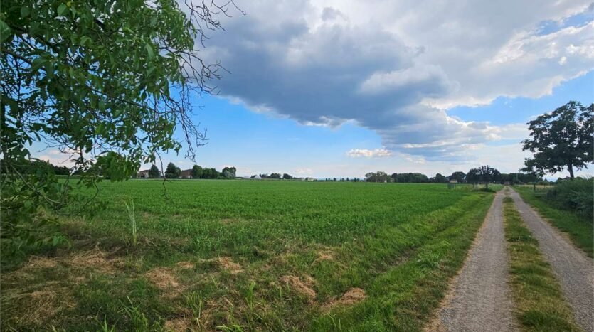 Agricultural land Soliera - photo 2