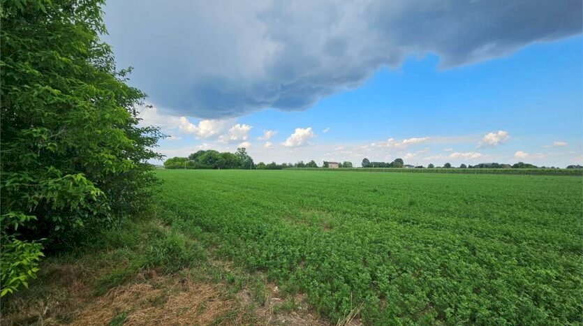 Agricultural land Soliera - photo 3