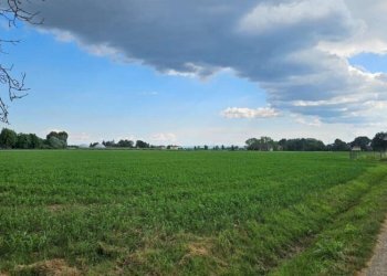 Terreno agricolo Soliera - foto 1