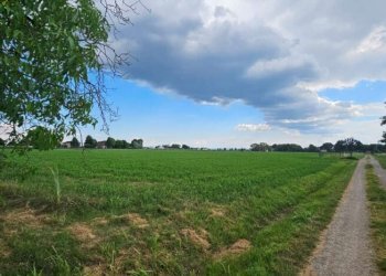 Terreno agricolo Soliera - foto 2