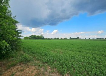 Terreno agricolo Soliera - foto 3
