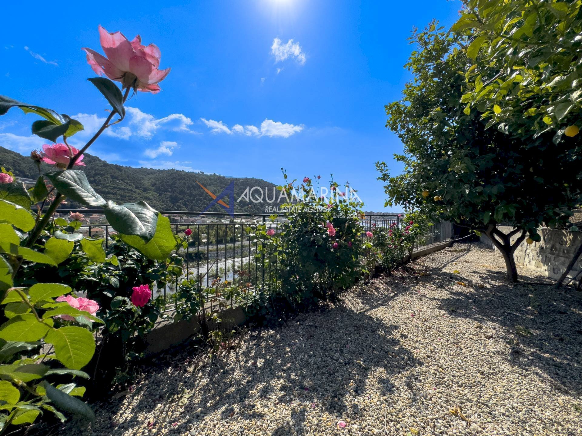 Foto 3 - Villa Camporosso - foto 3