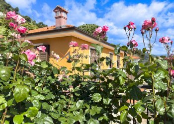 Foto 2 - Villa Camporosso - foto 2