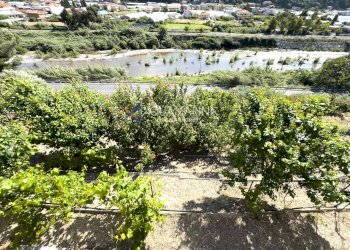 Foto 32 - Villa Camporosso - foto 32