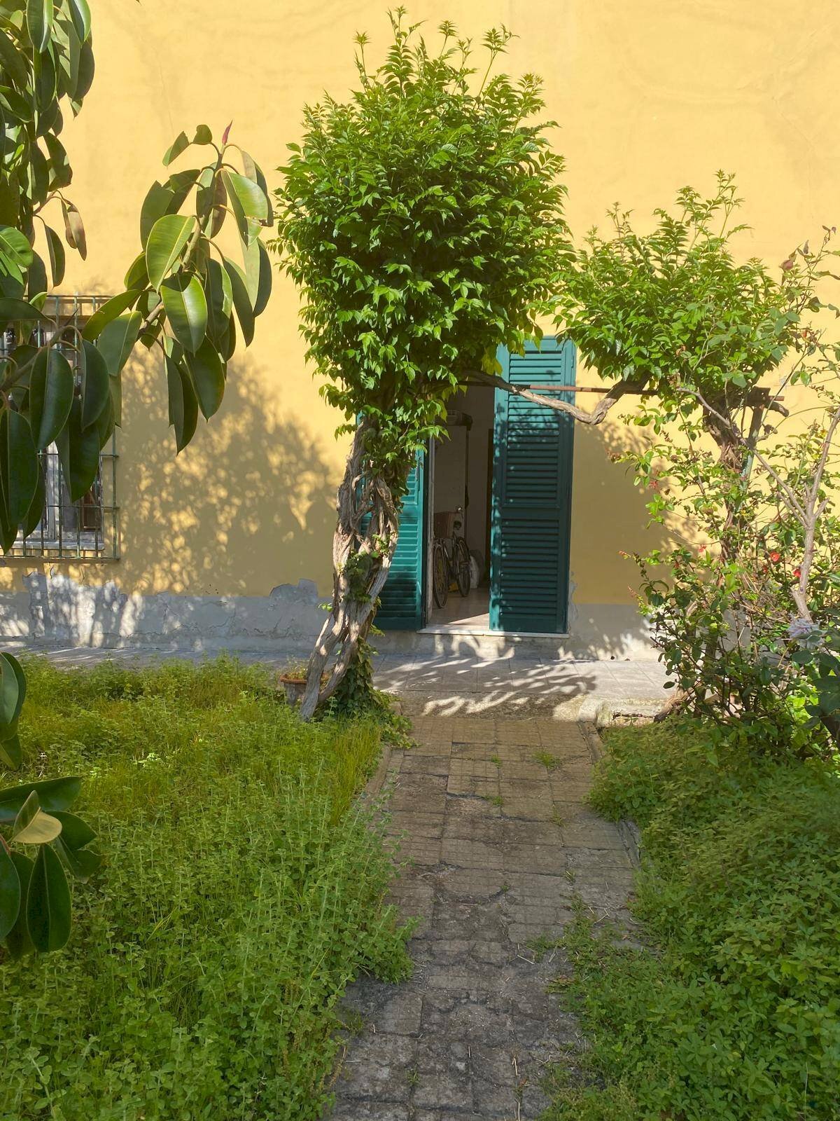 Foto 1 - Semi-detached house Rosignano Marittimo - photo 1