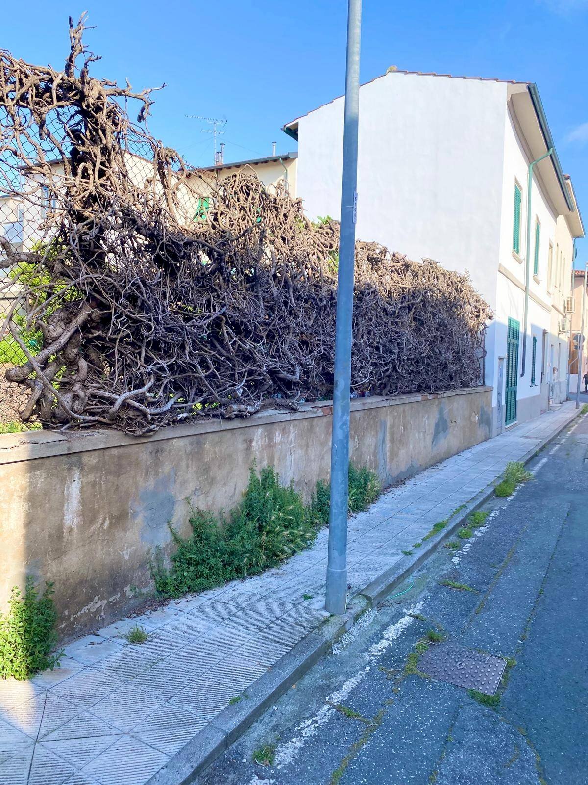 Foto 3 - Semi-detached house Rosignano Marittimo - photo 3