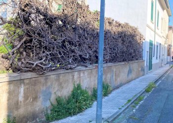 Foto 3 - Casa semi indipendente Rosignano Marittimo - foto 3