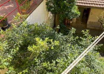 Foto 4 - Casa semi indipendente Rosignano Marittimo - foto 4