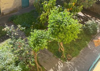 Foto 6 - Casa semi indipendente Rosignano Marittimo - foto 6