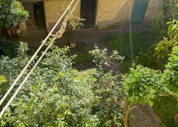 Foto 12 - Casa semi indipendente Rosignano Marittimo - foto 12