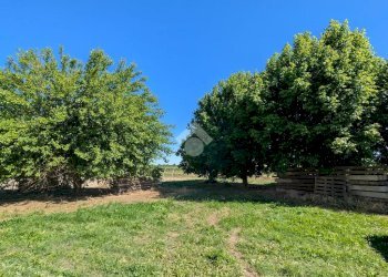 Rustico Via Carrara Monti, Lugo - foto 13