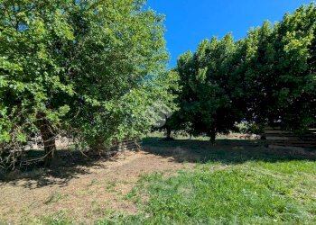 Rustico Via Carrara Monti, Lugo - foto 14