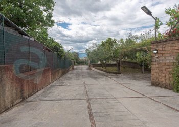 Foto 24 - Stabile - Palazzo Piazza Margherita
 
snc, Colfelice - foto 24