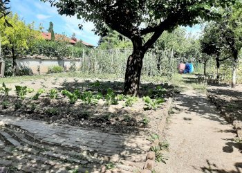 Foto 16 - Casa indipendente Alessandria - foto 16