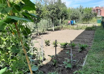 Foto 18 - Casa indipendente Alessandria - foto 18