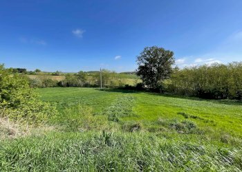 Foto 22 - Casa indipendente Felizzano - foto 22