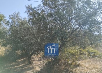 Foto 4 - Terreno edificabile Via Serri, Giungano - foto 4