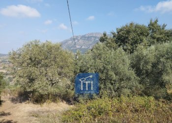 Foto 11 - Terreno edificabile Via Serri, Giungano - foto 11