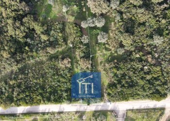 Foto 12 - Terreno edificabile Via Serri, Giungano - foto 12