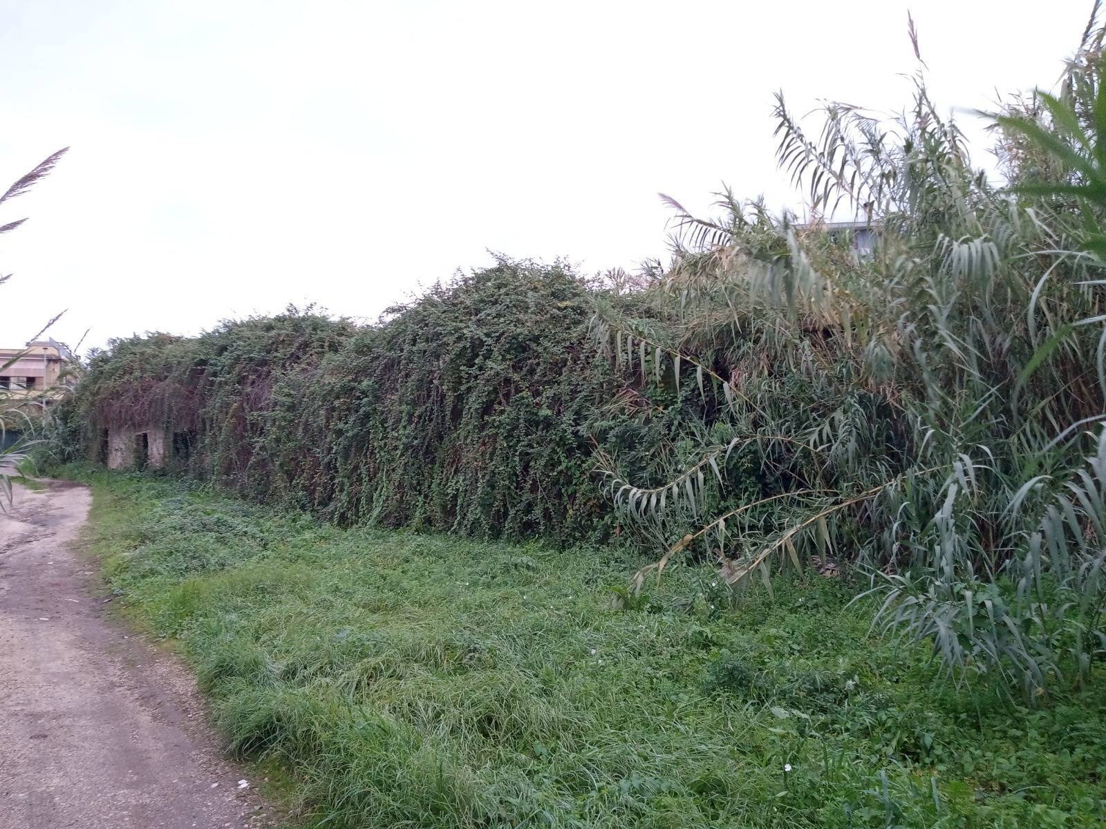 Foto 2 - Terreno edificabile TOR PALUZZI, Albano Laziale - foto 2