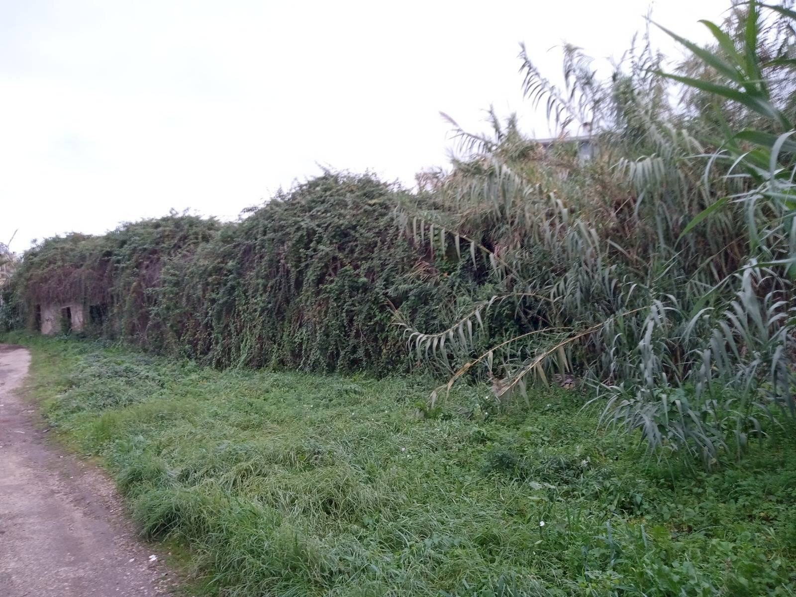 Foto 3 - Terreno edificabile TOR PALUZZI, Albano Laziale - foto 3