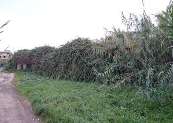 Foto 2 - Terreno edificabile TOR PALUZZI, Albano Laziale - foto 2