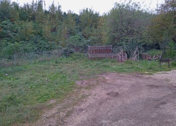 Foto 4 - Terreno edificabile TOR PALUZZI, Albano Laziale - foto 4