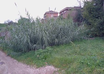 Foto 5 - Terreno edificabile TOR PALUZZI, Albano Laziale - foto 5