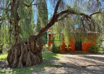 Foto 22 - Villa Via Serrati, Imperia - foto 22