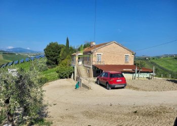 Foto 3 - Azienda agricola Via Monte Sibilla, Acquaviva Picena - foto 3