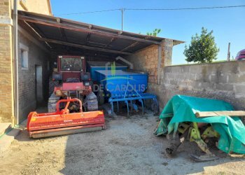 Foto 4 - Azienda agricola Via Monte Sibilla, Acquaviva Picena - foto 4