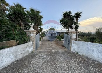 Casa all\'aperto - Villa Litoranea Torre Pali Pescoluse
 
, Salve - foto 9