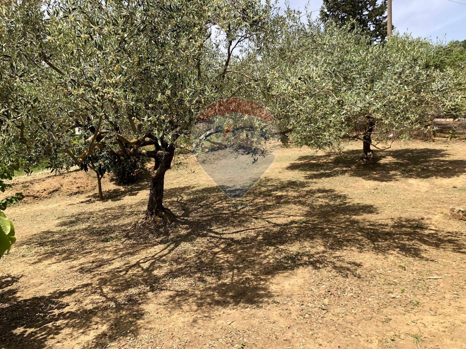 Giardino - Casa indipendente Via Colleggiata
 
160, Caltagirone - foto 1