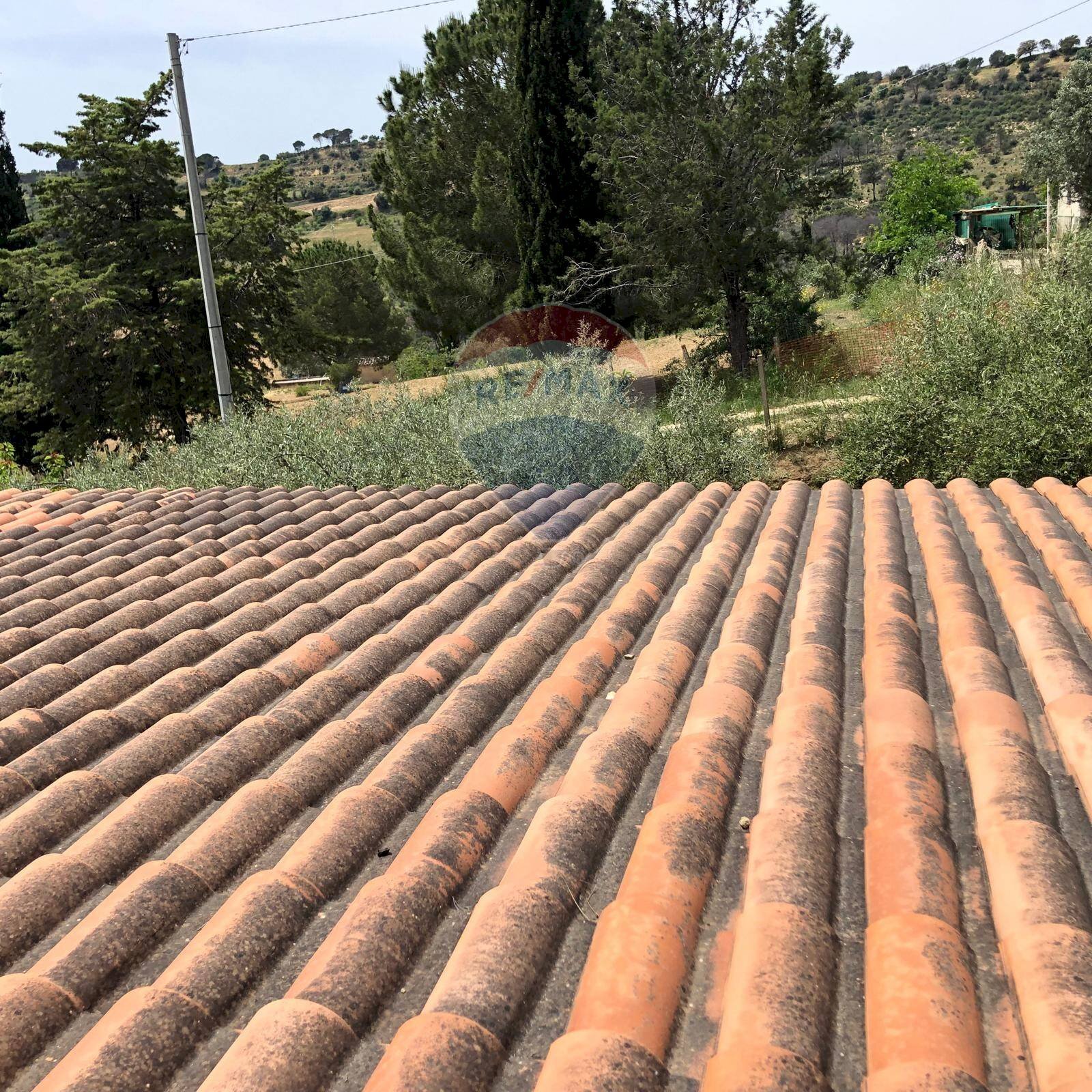 Giardino - Casa indipendente Via Colleggiata
 
160, Caltagirone - foto 3