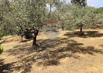 Giardino - Casa indipendente Via Colleggiata
 
160, Caltagirone - foto 1