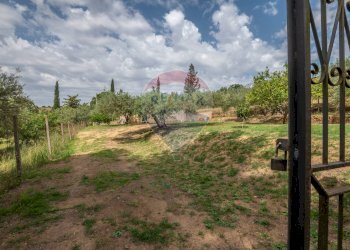Giardino - Casa indipendente Via Colleggiata
 
160, Caltagirone - foto 10