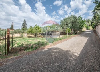 Giardino - Casa indipendente Via Colleggiata
 
160, Caltagirone - foto 13