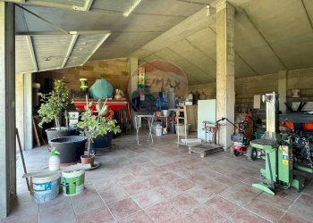 Magazzino - Casa semi indipendente Cimignano
 
1, Filottrano - foto 32