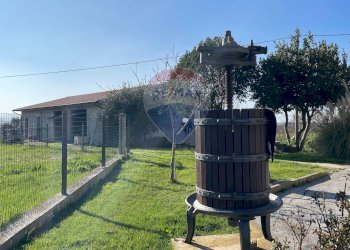 Giardino - Casa semi indipendente Cimignano
 
1, Filottrano - foto 33