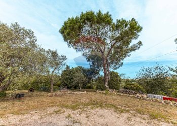 Giardino - Casa indipendente S.V. Li Mucci 1° traversa
 
S.N.C., Sassari - foto 5