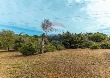 Giardino - Casa indipendente S.V. Li Mucci 1° traversa
 
S.N.C., Sassari - foto 74