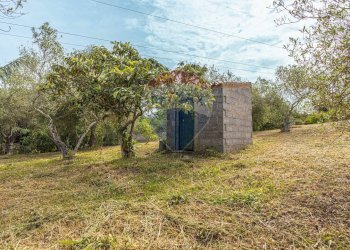 Giardino - Casa indipendente S.V. Li Mucci 1° traversa
 
S.N.C., Sassari - foto 75