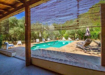 Foto 6 - Rustico Terranuova Bracciolini - foto 6