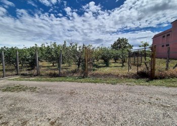 Foto 6 - Terreno agricolo via Santa Chiara, Somma Vesuviana - foto 6