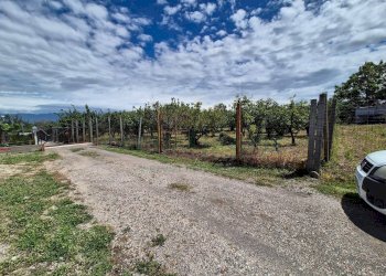 Foto 7 - Terreno agricolo via Santa Chiara, Somma Vesuviana - foto 7