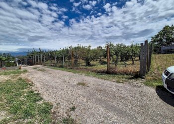 Foto 8 - Terreno agricolo via Santa Chiara, Somma Vesuviana - foto 8